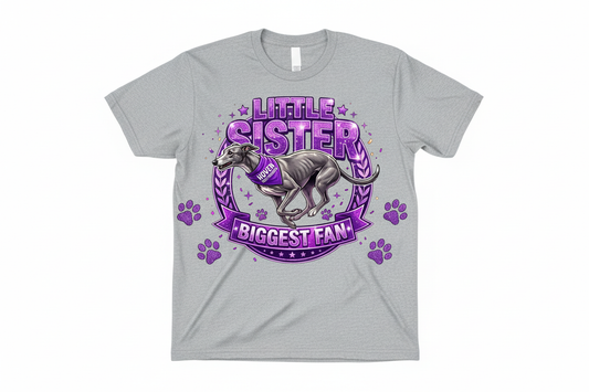 Little Sister Biggest Fan graphic on heather gray t-shirt